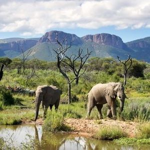 Meet your Posher, Alexander